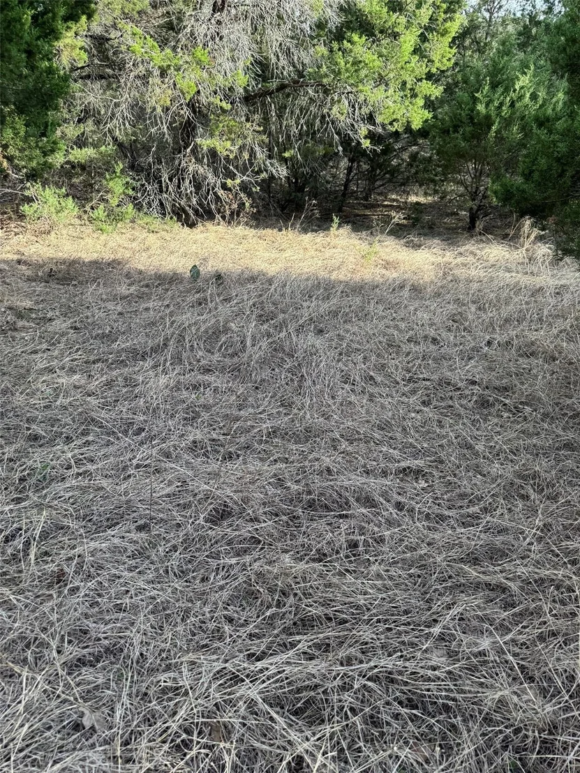 Photo of 32039 Dove Trail