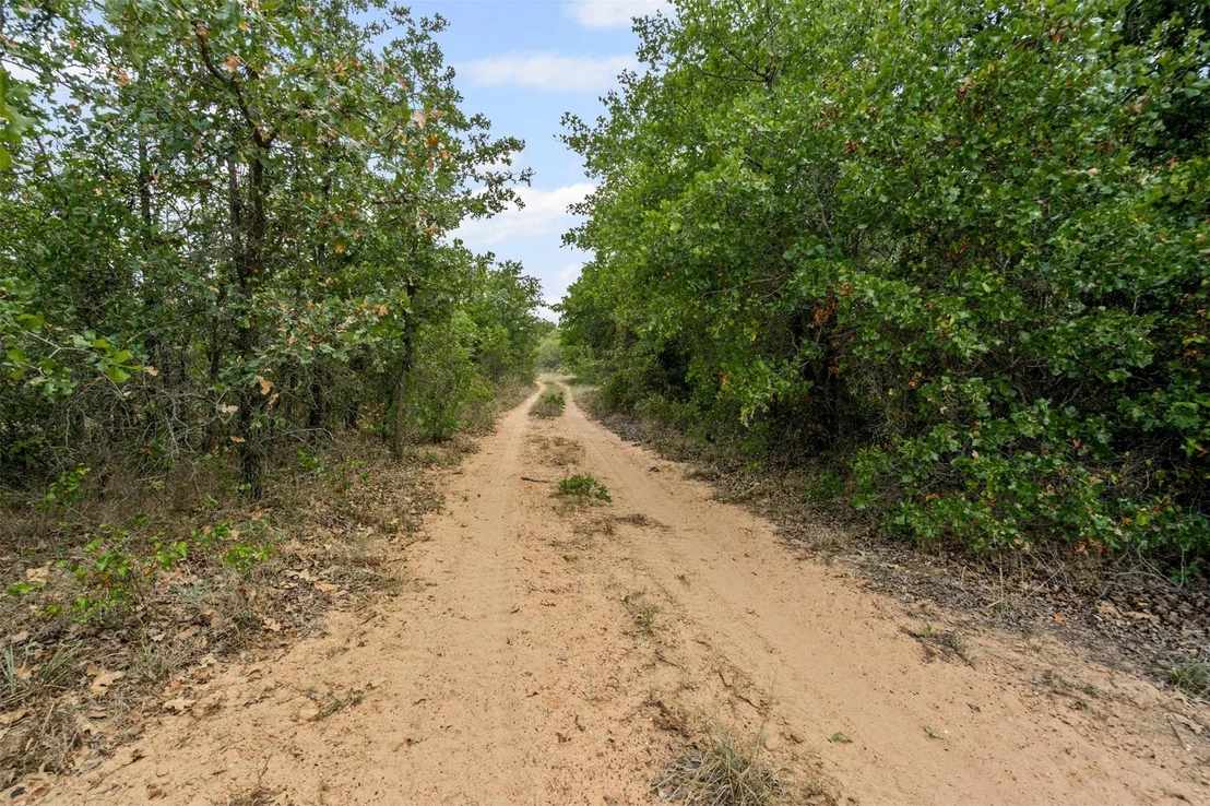 Photo of 451 County Road 4975