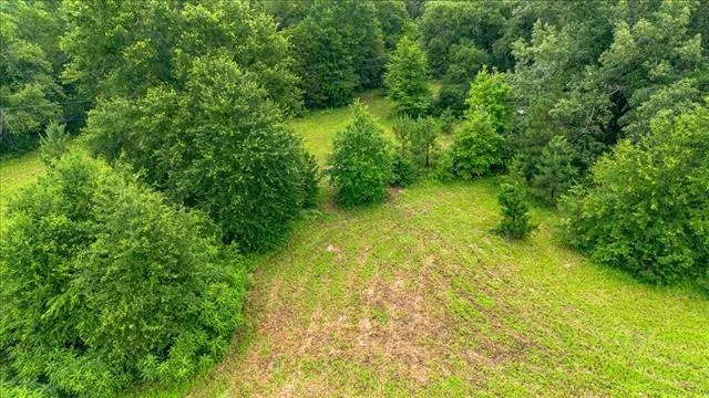 Photo of 806 County Road 4910