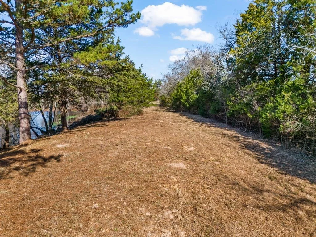 Photo of 255 CR 4645