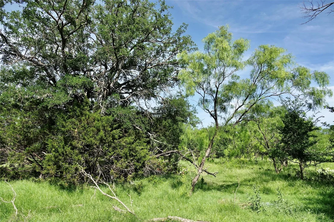 Photo of 981 W Hwy 84