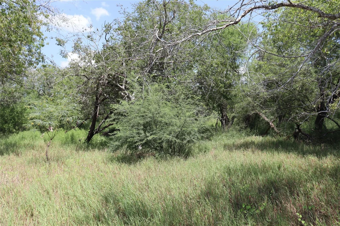 Photo of 14135 County Road 1144