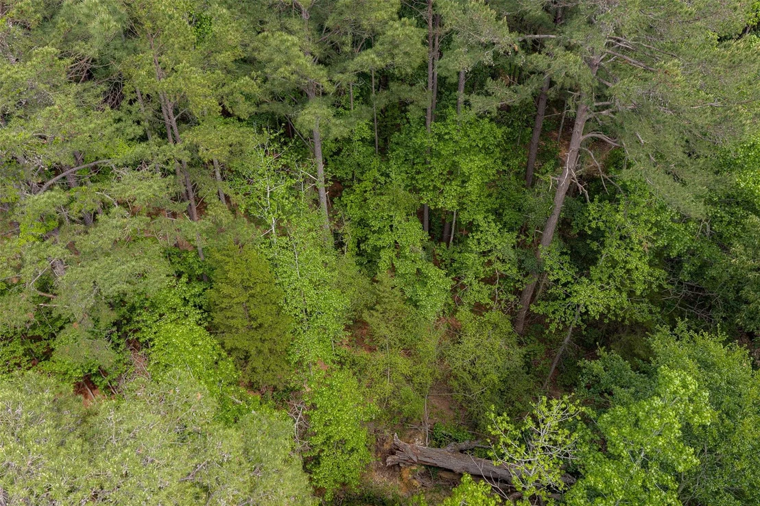 Photo of 2029 W State Highway 294