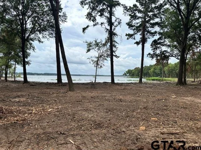 Photo of Lot 43 Oak River
