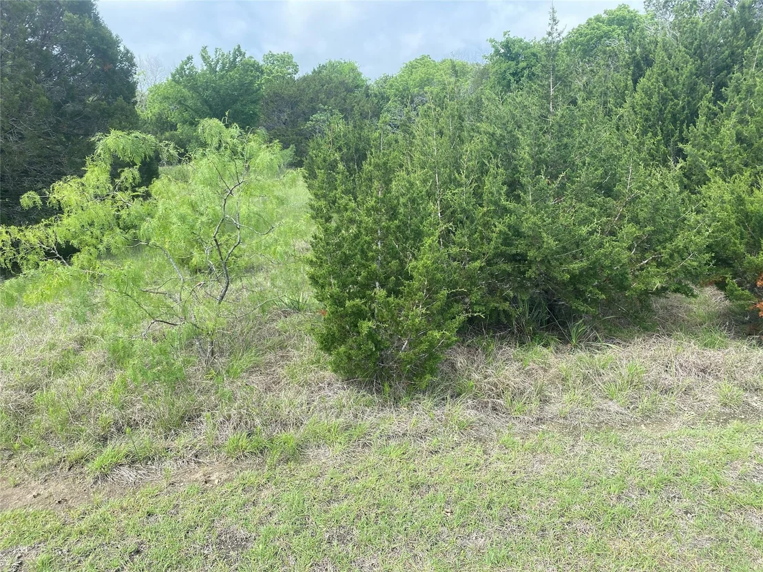 Photo of 34045 Stonewood Drive