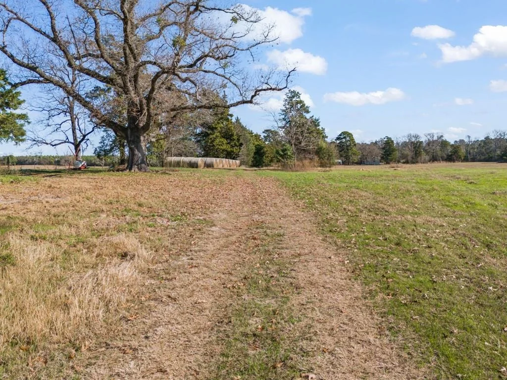 Photo of 255 CR 4645