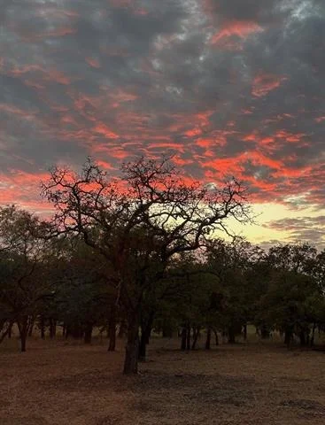 Photo of 185 Rising Oak Trl