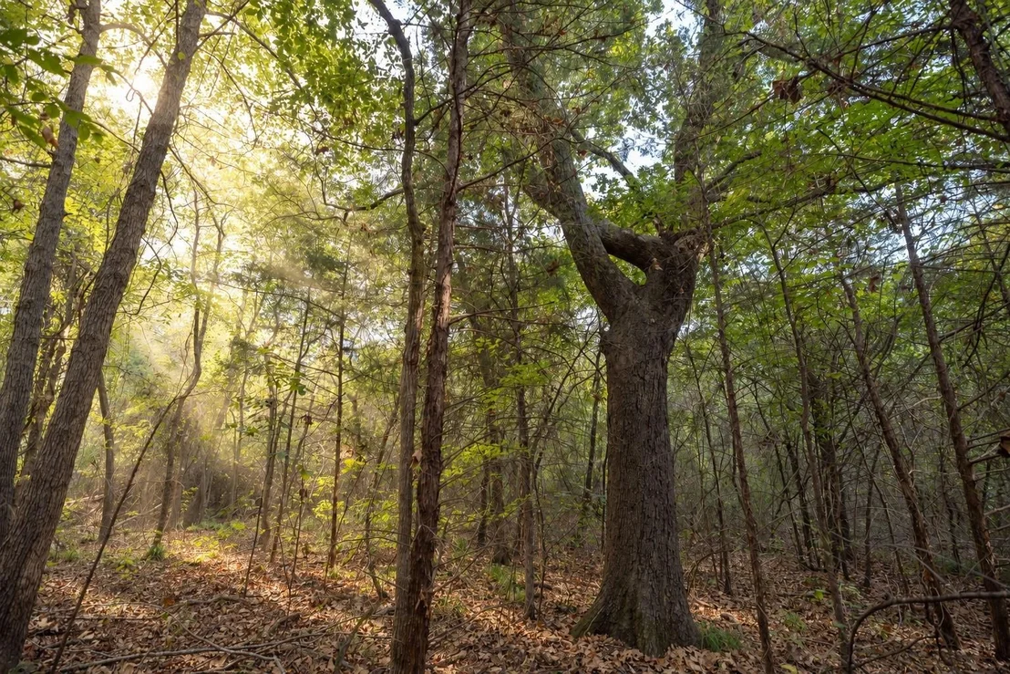 Photo of 500 County Road 3805