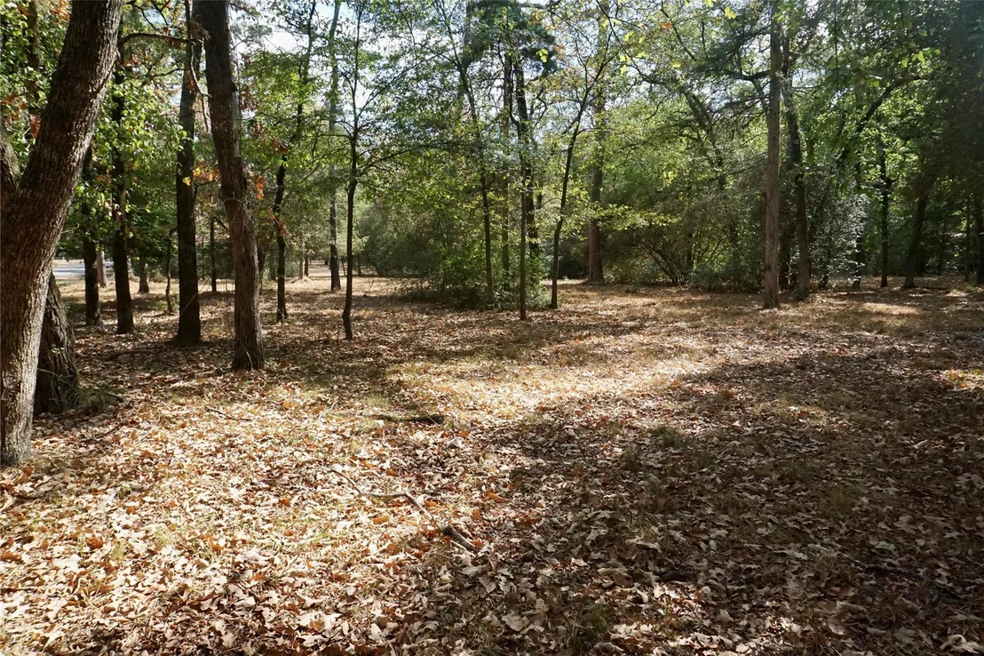Photo of TBD Lot 146 (Evening Shadows Trail) Trail