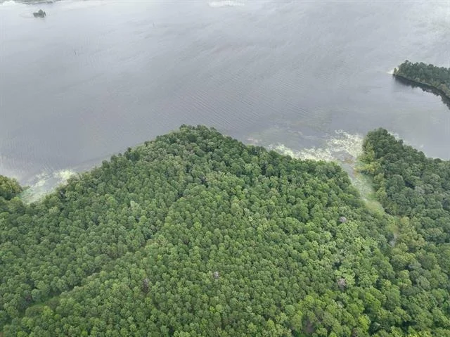 Photo of T-3 Arledge Trail/Off Gateway Meadows
