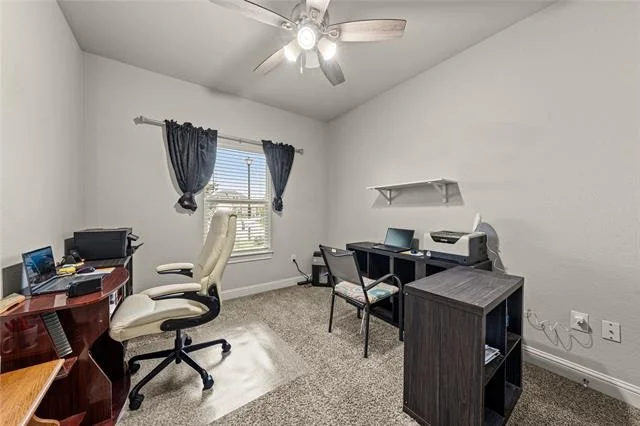 Photo of 225 Swan Lake