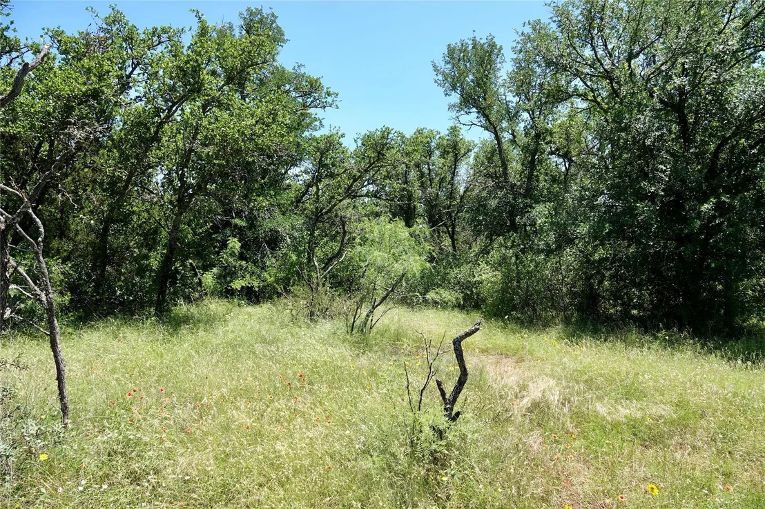 Photo of 219 CR 550