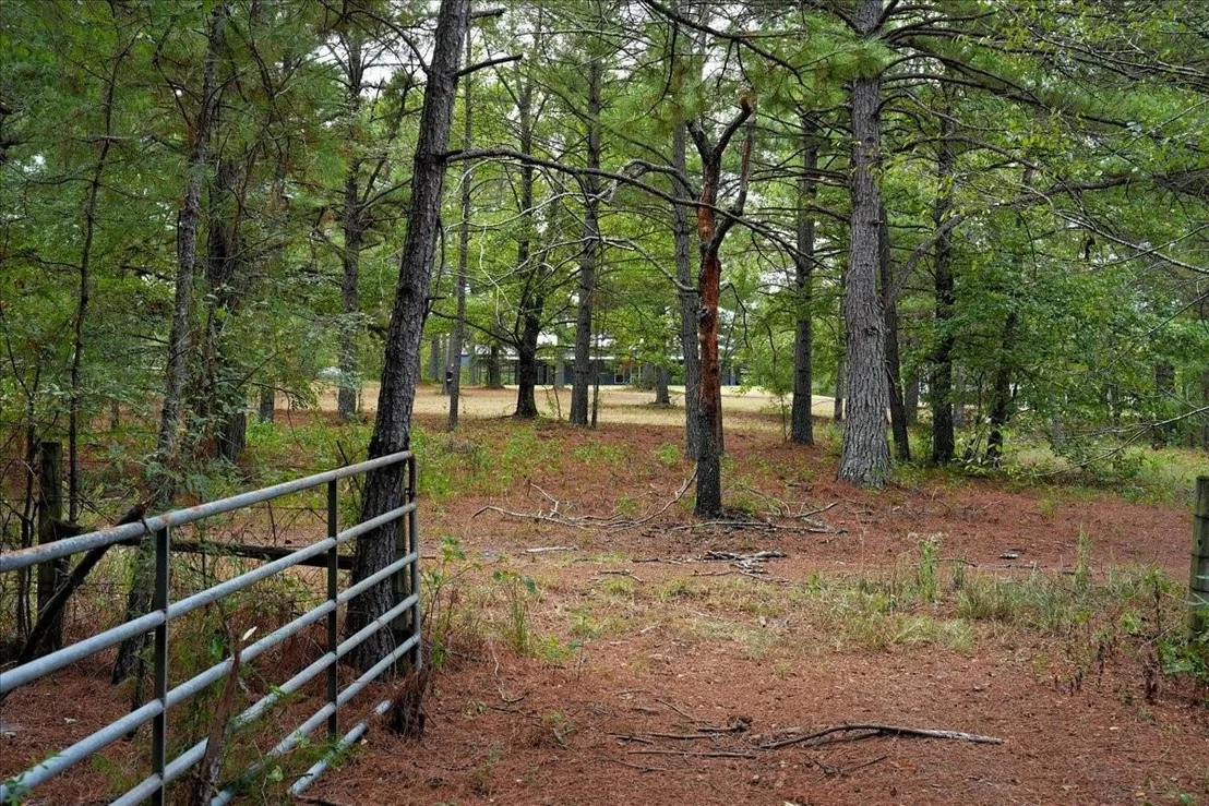 Photo of 448 County Road 3955