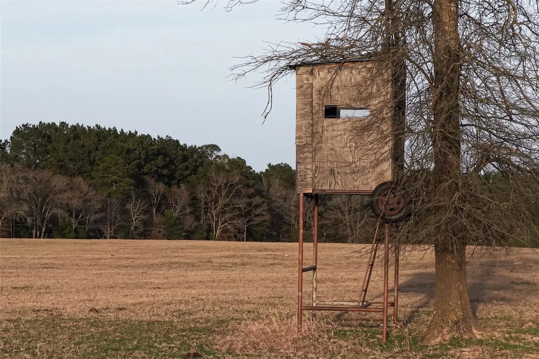 Photo of 2265 County Road 1613