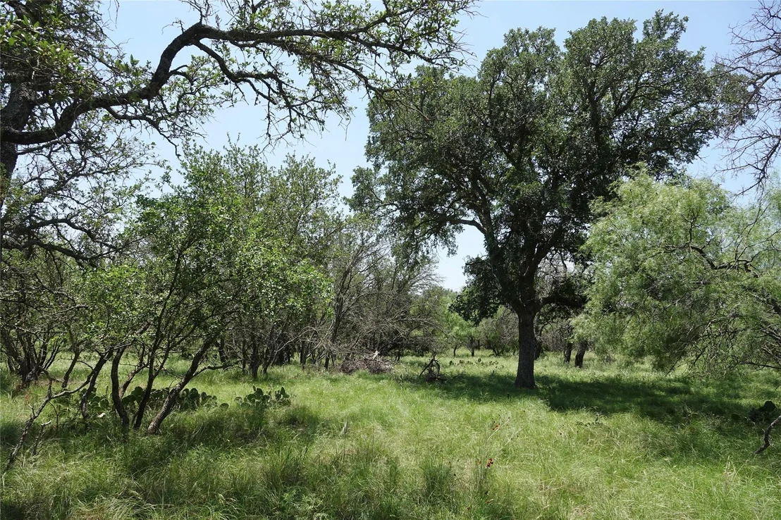 Photo of 267 County Road 112