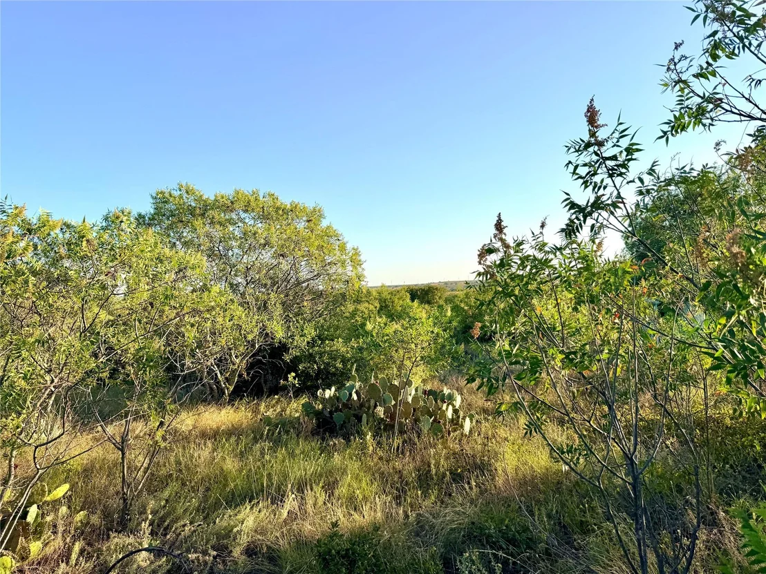 Photo of 37 Pr 224