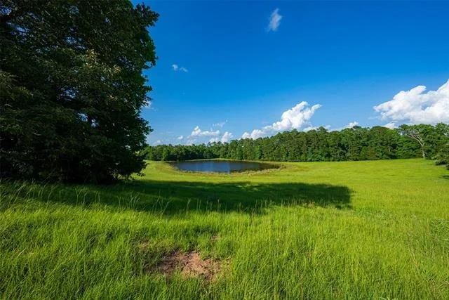 Photo of 2030 County Road 1640