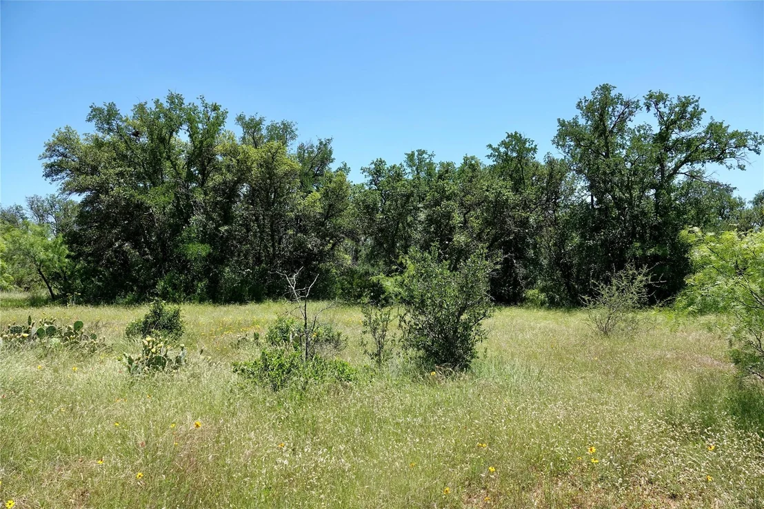 Photo of 219 CR 550
