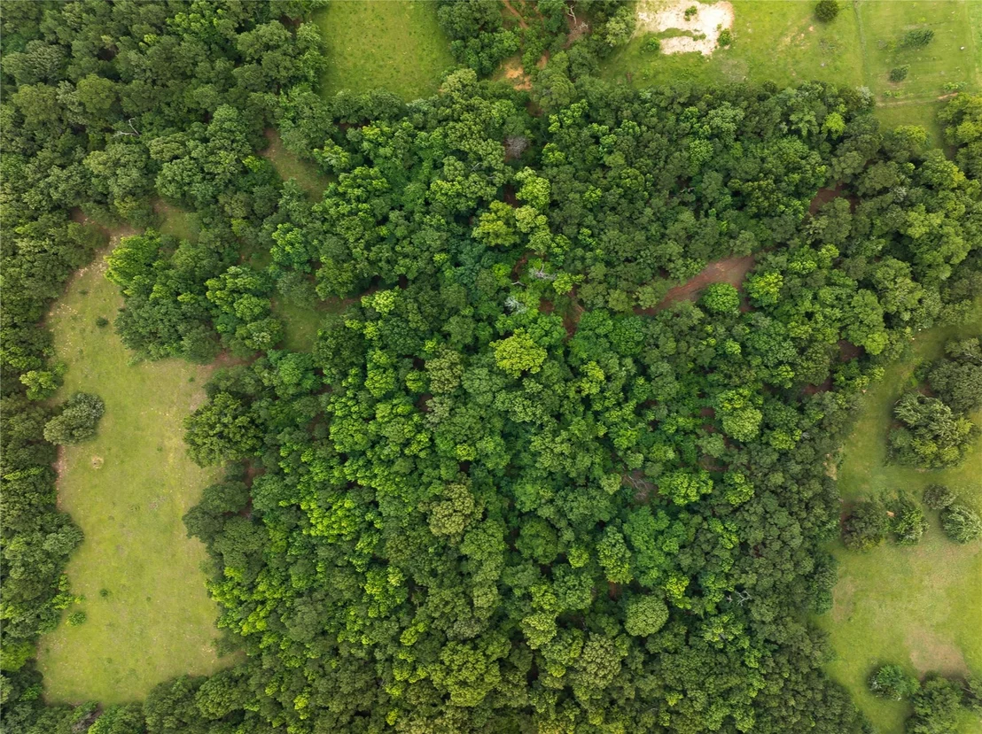 Photo of 519 An County Road 450