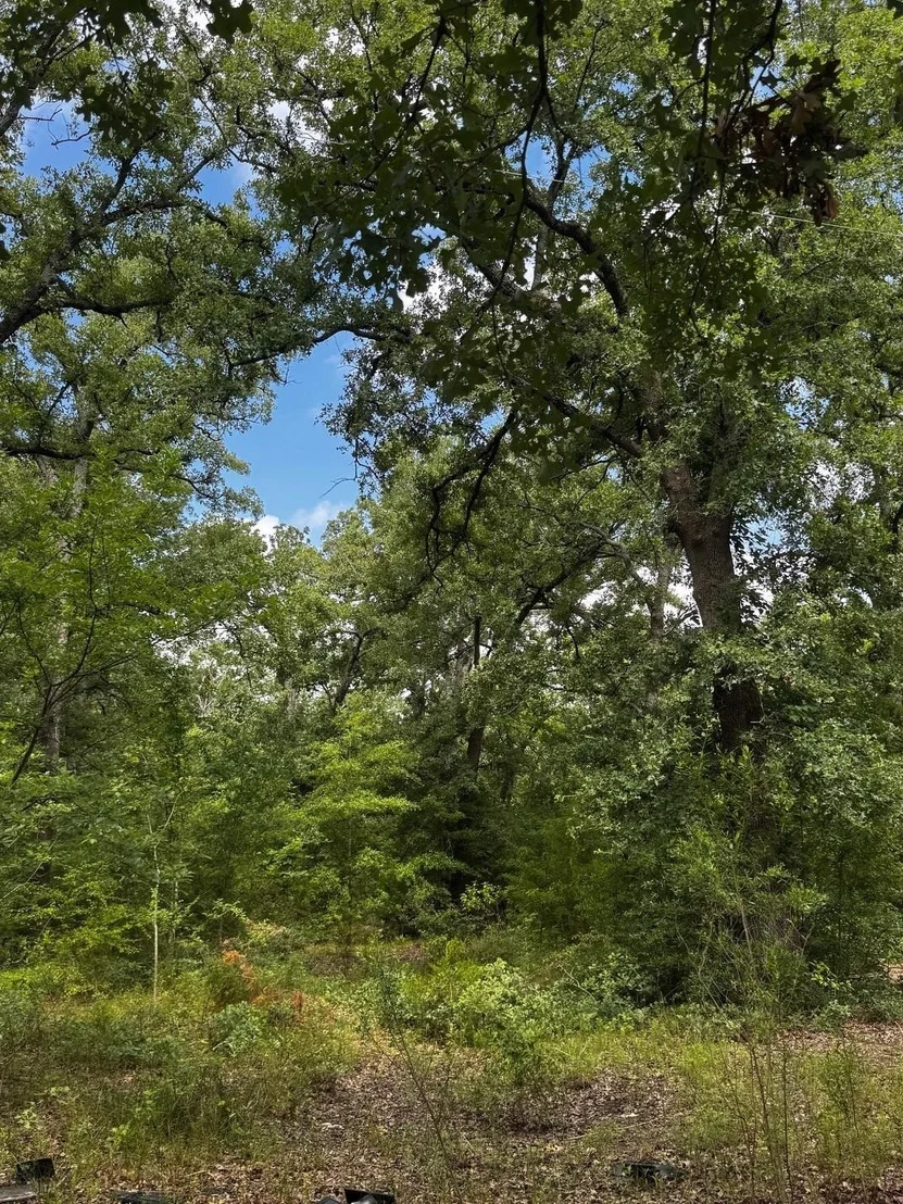 Photo of 5200 County Road 45080