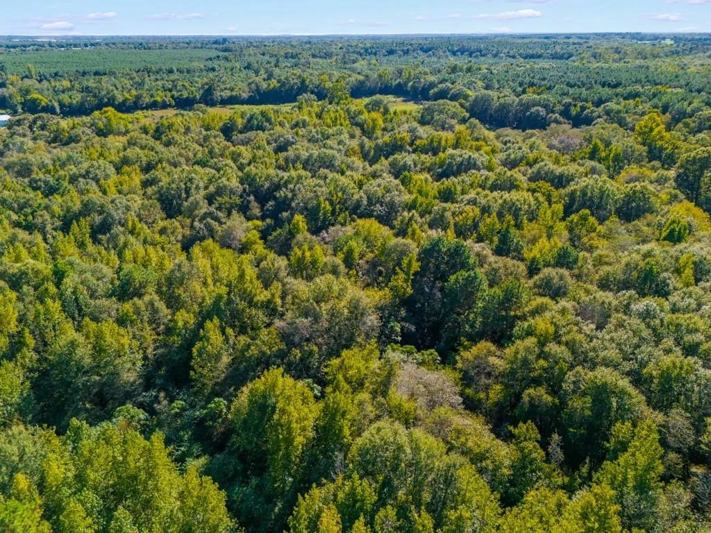 Photo of TBD County Road 3324, 24 Ac