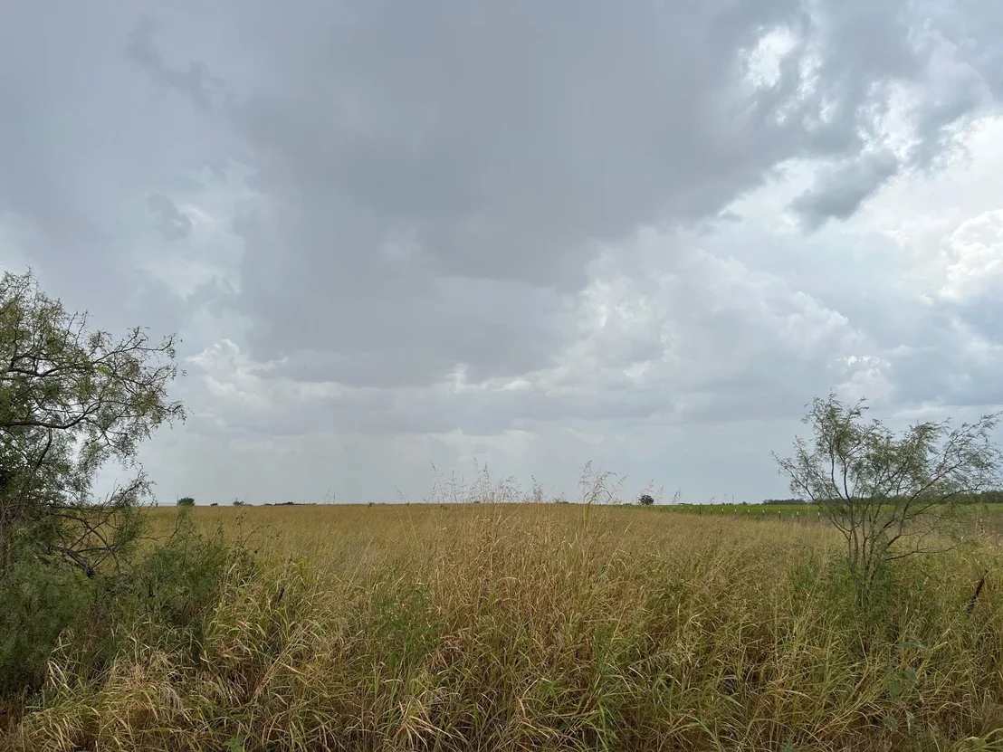 Photo of 5805 County Road 223