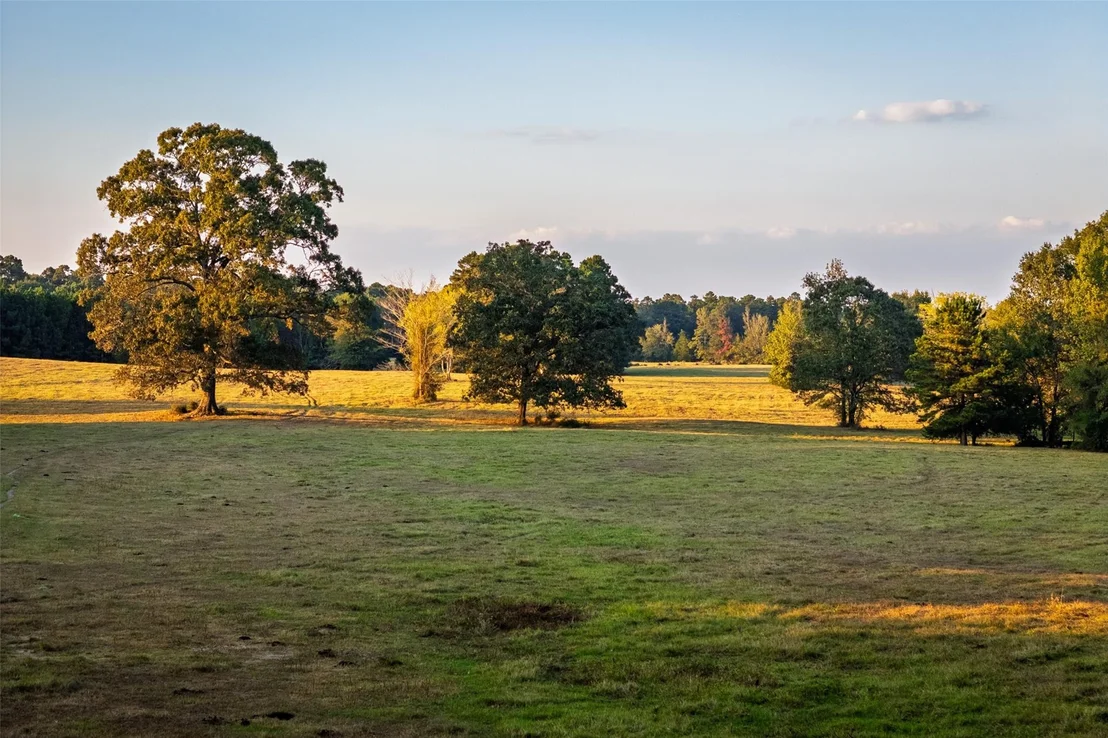 Photo of 973 County Road 2572