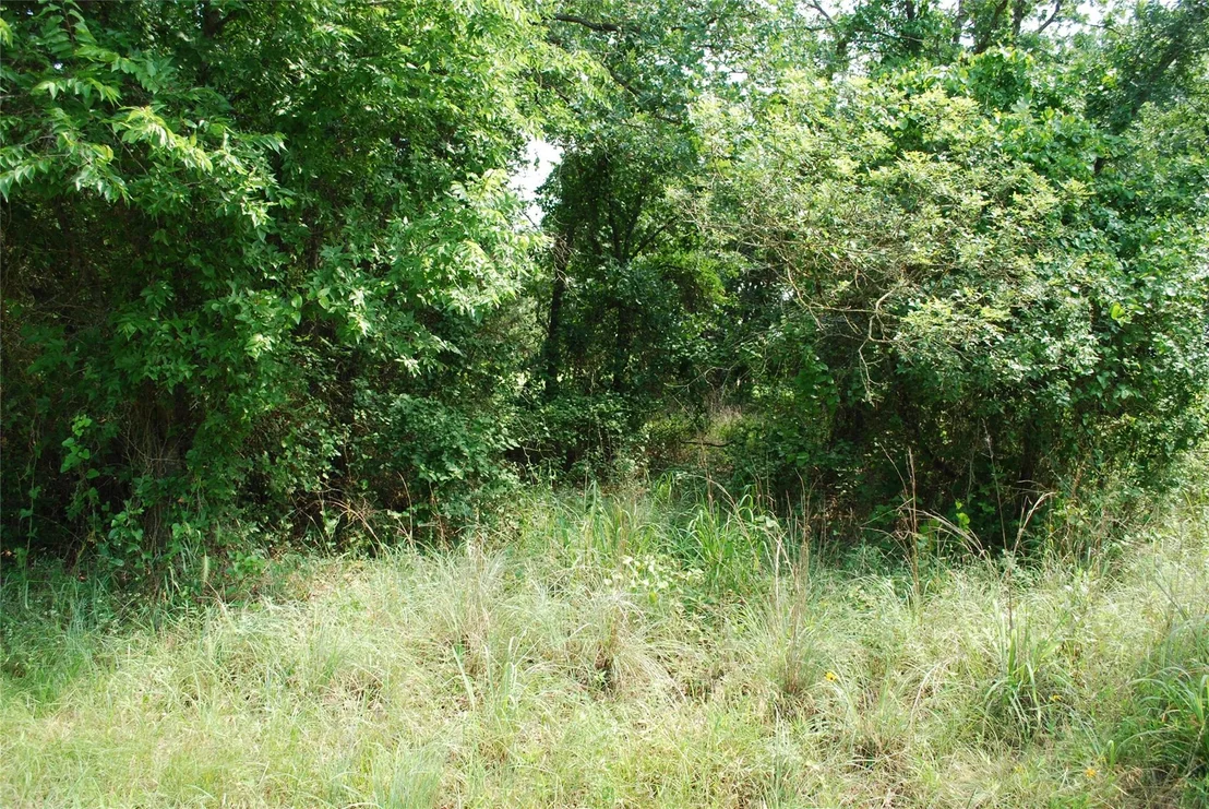 Photo of 27183 Whispering Meadow Drive