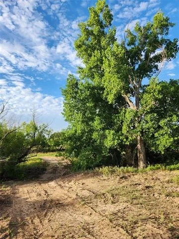 Photo of 8662 County Road 235