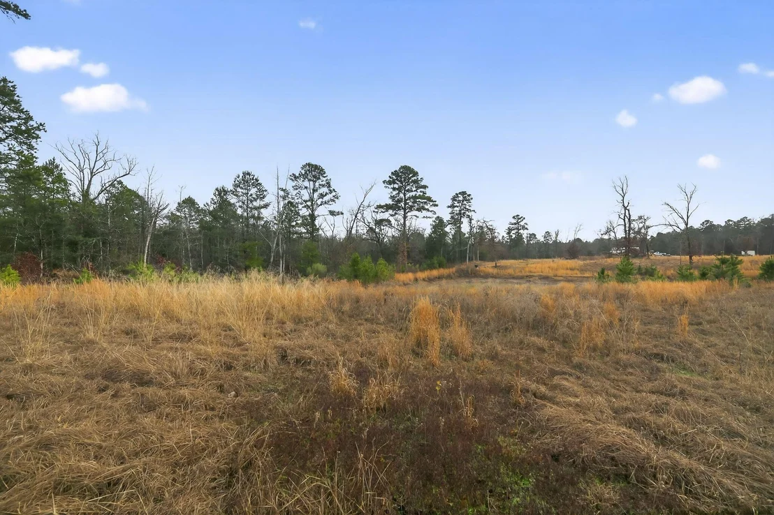 Photo of 868 County Road 2920