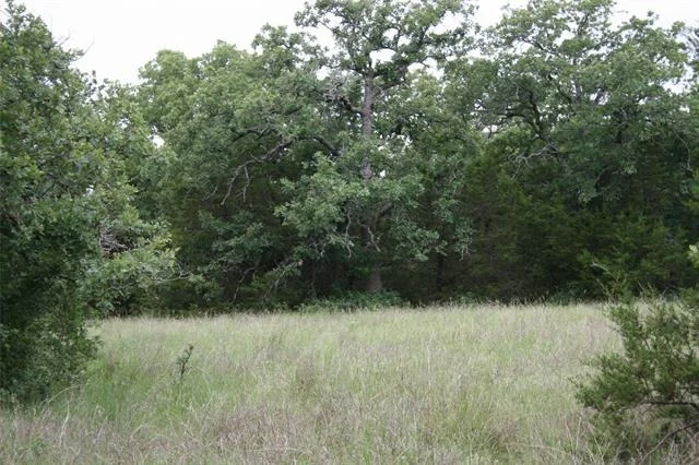 Photo of 2701 Live Oak Road