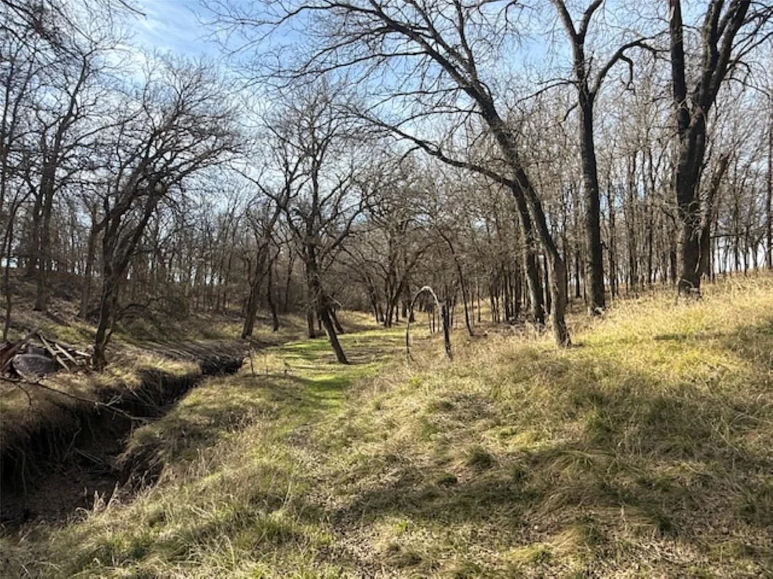 Photo of 363 County Road 4403