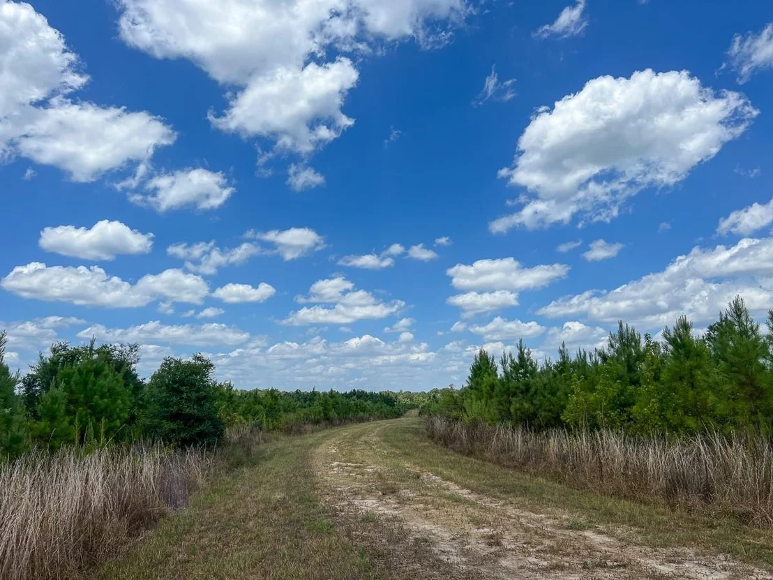 Photo of 0 US 69