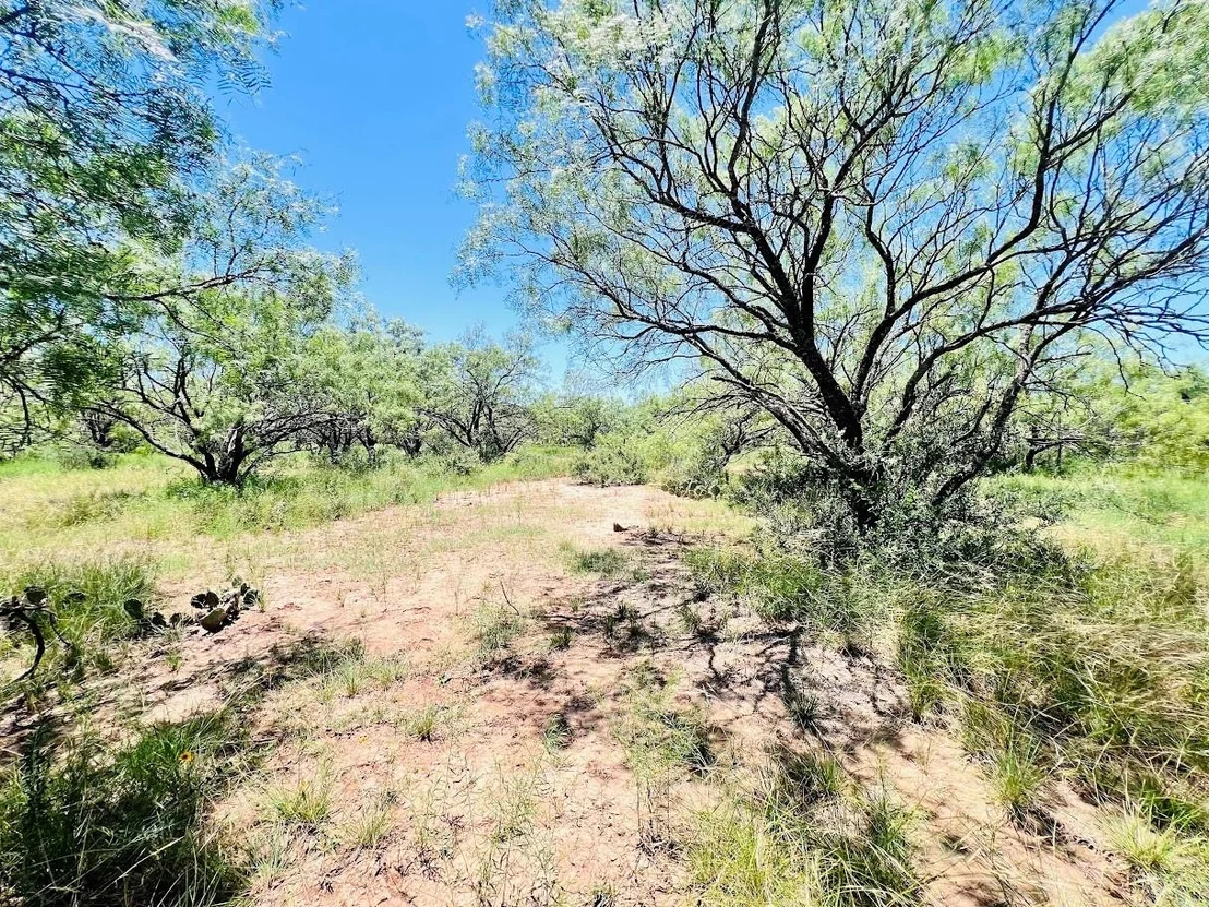 Photo of 1349 County Road 152