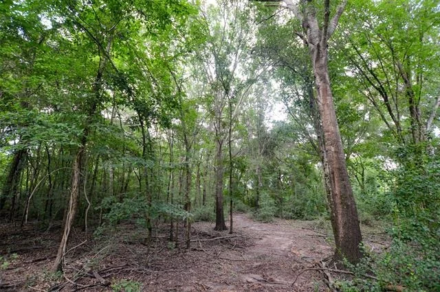 Photo of 8690 County Road 1119