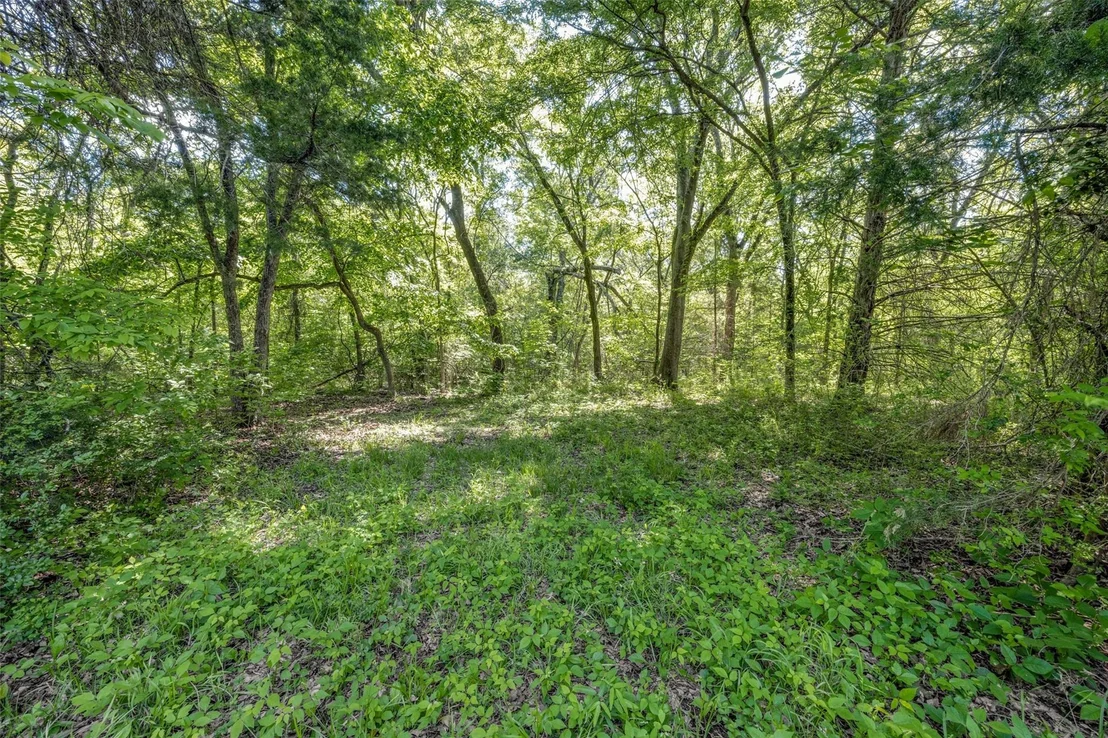 Photo of 1203 County Road 4132