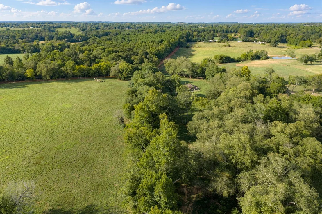 Photo of 3219 County Road 1508