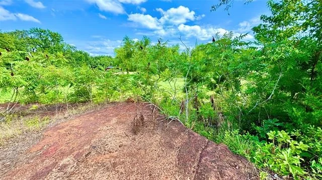 Photo of 1007 County Road 1226