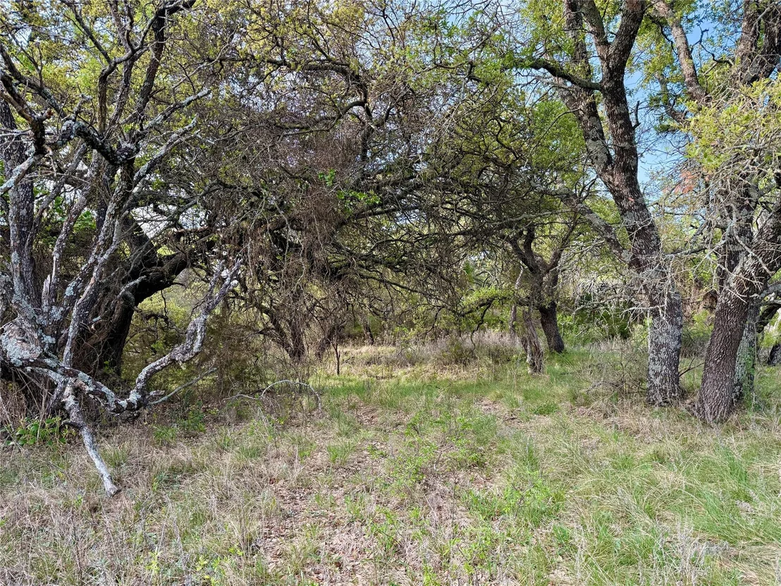 Photo of TBD CR 253