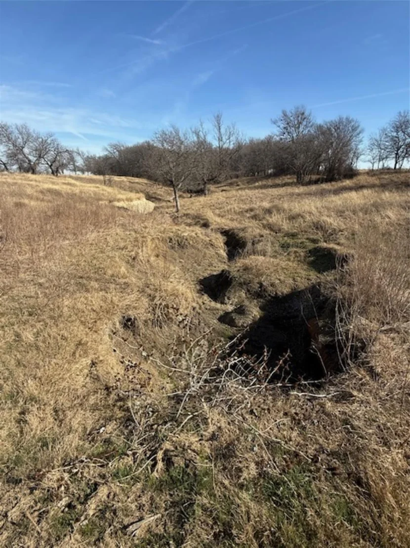 Photo of 363 County Road 4403