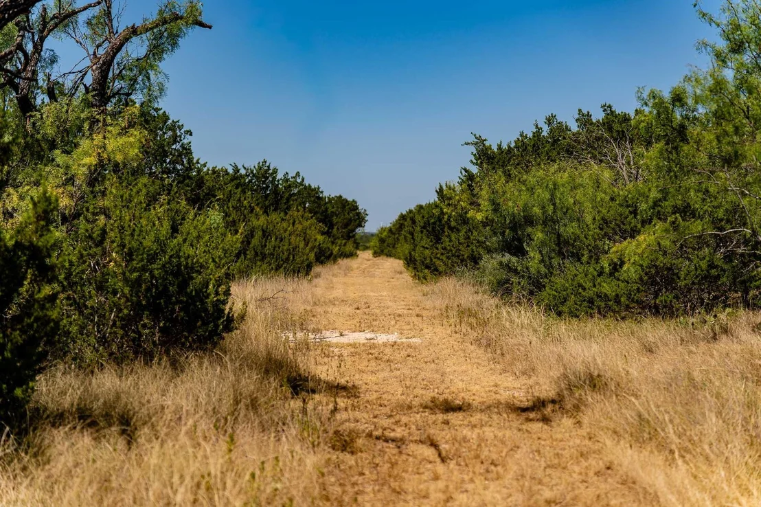 Photo of 221 County Road 225