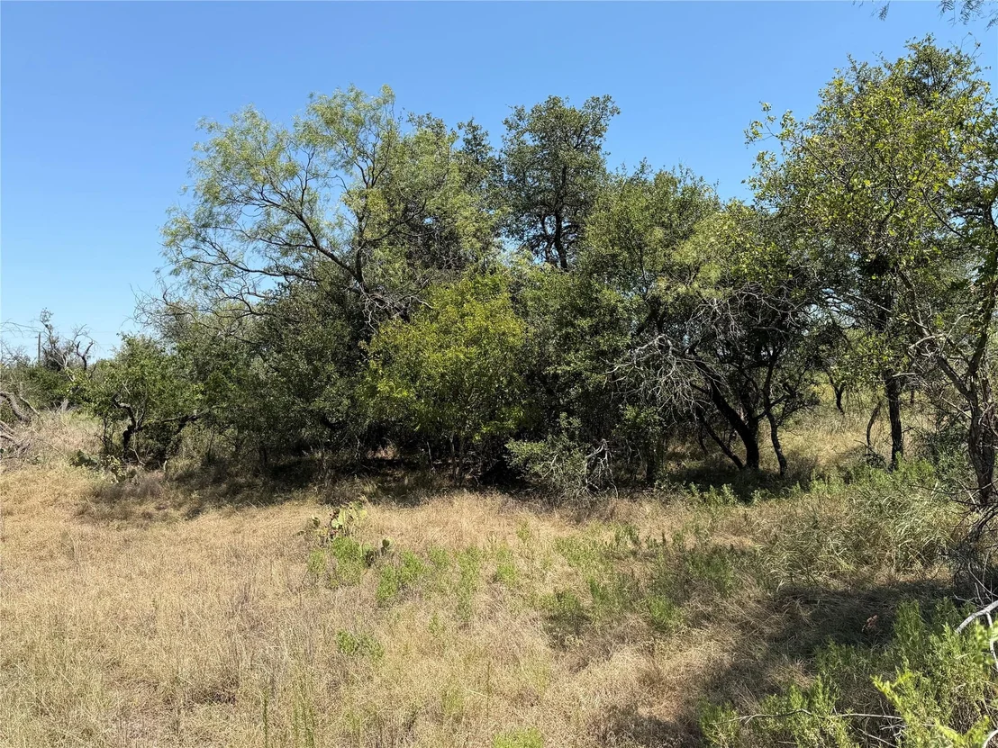 Photo of 501 County Road 376