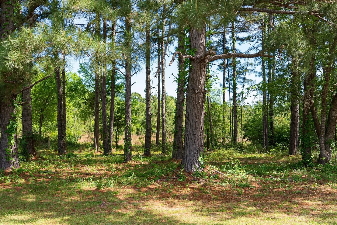 Photo of 2029 W State Highway 294