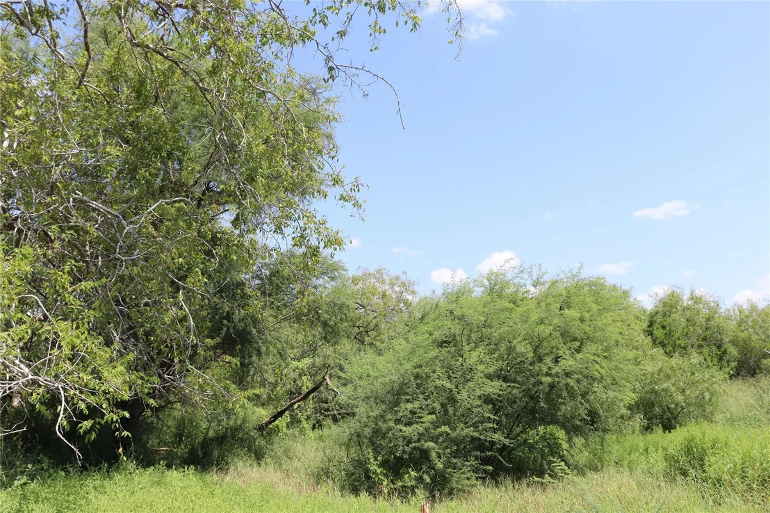 Photo of 14135 County Road 1144