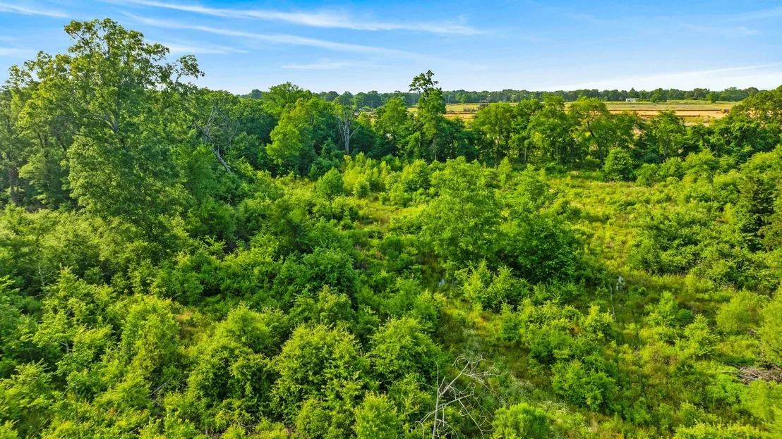 Photo of 5200 County Road 45080