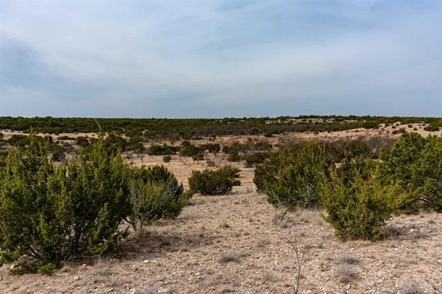 Photo of 577 County Road 364