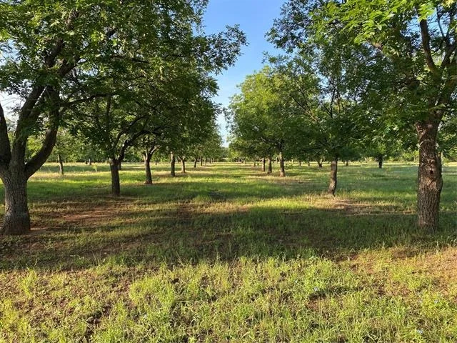 Photo of 751 County Road 424