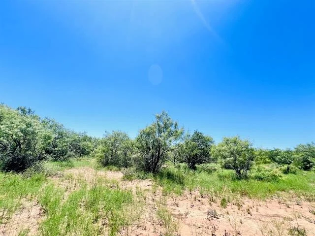Photo of 1349 County Road 152