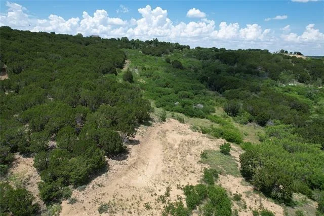 Photo of 1507 canyon wren S