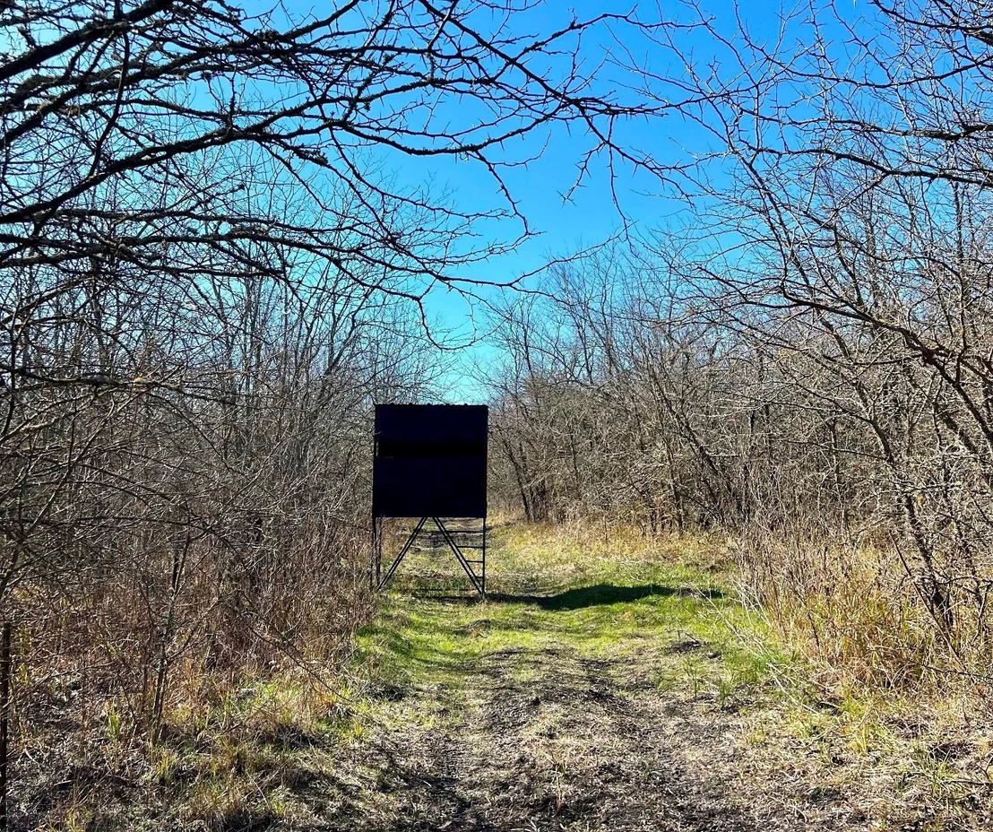 Photo of 9595 County Road 262
